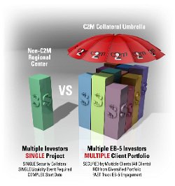 Cliff-Schinkel-2013-C2M-Services-EB5-Umbrella-Chart-1