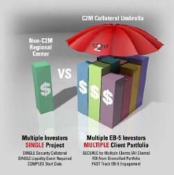 Cliff-Schinkel-2013-C2M-Services-EB5-Umbrella-Chart-2