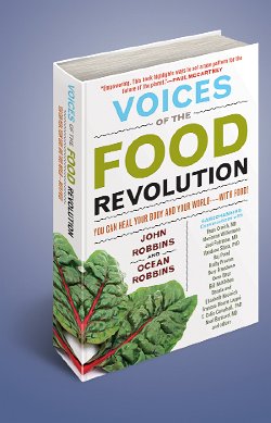 Cliff-Schinkel-2013-Food-Revolution-Network-Voices-of-the-Food-Revolution-Hardcover-Book-Render