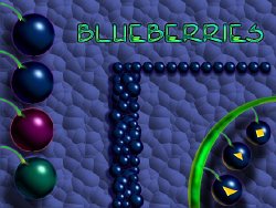 Cliff-Schinkel-1999-Misc-Blueberries