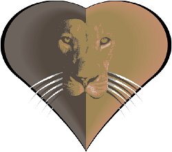 Cliff-Schinkel-1994-LionHeart-Consulting-Logo-1
