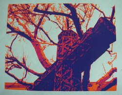 Cliff-Schinkel-1983-Kodalith-Photography-and-Silkscreen-Project-Print-3