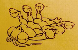 Cliff-Schinkel-1989-Cartoon-Dead-Roach