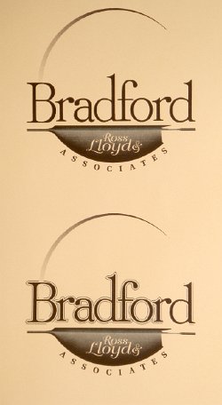 Cliff-Schinkel-1991-Bradford-Logo-1