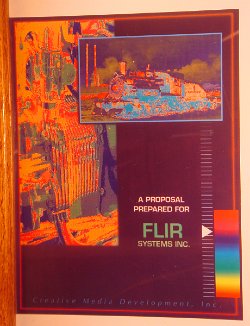 Cliff-Schinkel-1991-Flir-Cover