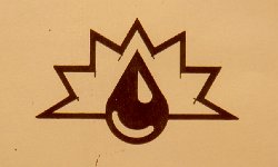 Cliff-Schinkel-1992-Oil-Logo-2