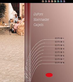 Cliff-Schinkel-1998-DuPont-Staimaster-Carpets-Website-Idea-05
