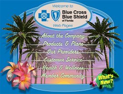 Cliff-Schinkel-1999-Blue-Cross-Blue-Shield-Website-Roughs-Florida-2-Main
