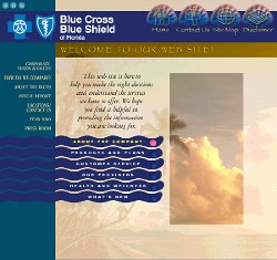 Cliff-Schinkel-1999-Blue-Cross-Blue-Shield-Website-Roughs-Florida-2-Sub