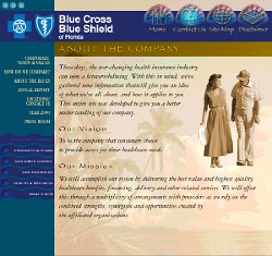 Cliff-Schinkel-1999-Blue-Cross-Blue-Shield-Website-Roughs-Florida-3-Sub