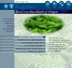 Cliff-Schinkel-1999-Blue-Cross-Blue-Shield-Website-Roughs-Oregon-Main