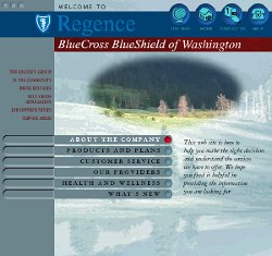 Cliff-Schinkel-1999-Blue-Cross-Blue-Shield-Website-Roughs-Washington-Main