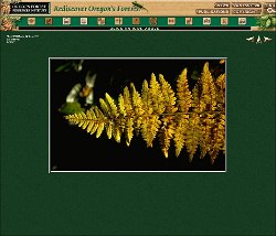 Cliff-Schinkel-1999-Oregon-Forest-Resources-Institute-Website-Photo