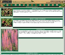 Cliff-Schinkel-1999-Oregon-Forest-Resources-Institute-Website-Records