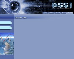 Cliff-Schinkel-2003-Digital-Systems-Solutions-Inc-Website-3