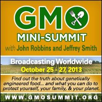 Cliff-Schinkel-2013-Food-Revolution-Network-GMO-Summit-Banner-200x200