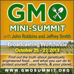 Cliff-Schinkel-2013-Food-Revolution-Network-GMO-Summit-Banner-250x250