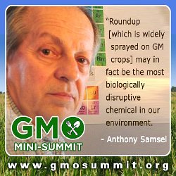 Cliff-Schinkel-2013-Food-Revolution-Network-GMO-Summit-Poster-Anthony-Samsel