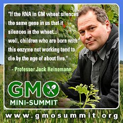 Cliff-Schinkel-2013-Food-Revolution-Network-GMO-Summit-Poster-Jack-Heinemann