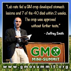 Cliff-Schinkel-2013-Food-Revolution-Network-GMO-Summit-Poster-Jeffrey-Smith-2