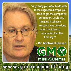 Cliff-Schinkel-2013-Food-Revolution-Network-GMO-Summit-Poster-Michael-Hansen-2