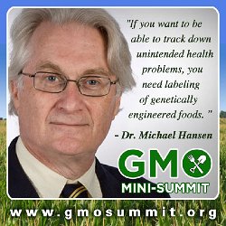 Cliff-Schinkel-2013-Food-Revolution-Network-GMO-Summit-Poster-Michael-Hansen-3