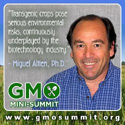 Cliff-Schinkel-2013-Food-Revolution-Network-GMO-Summit-Poster-Miguel-Altieri