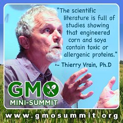 Cliff-Schinkel-2013-Food-Revolution-Network-GMO-Summit-Poster-Thierry-Vrain-2