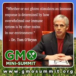 Cliff-Schinkel-2013-Food-Revolution-Network-GMO-Summit-Poster-Tom-Obryan