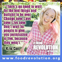 Cliff-Schinkel-2013-Food-Revolution-Network-Summit-Poster-Kris-Carr